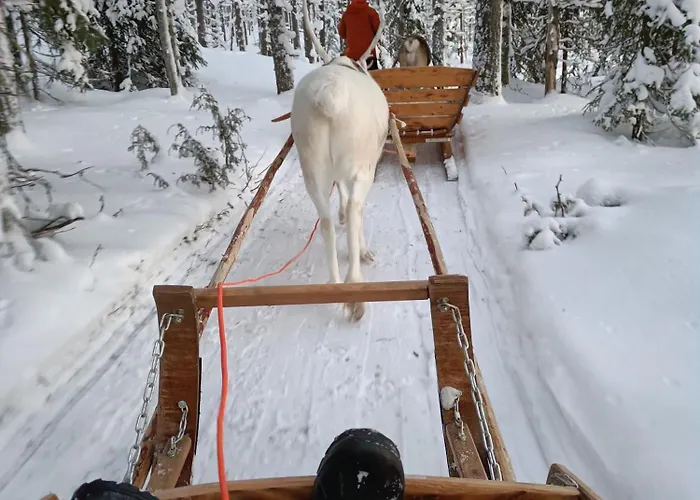 Riekko אתר נופש Äkäslompolo