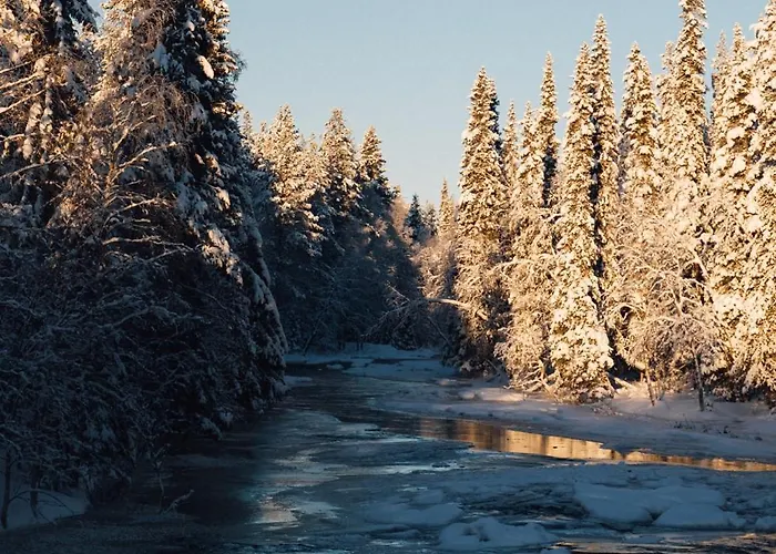 אתר נופש Riekko *